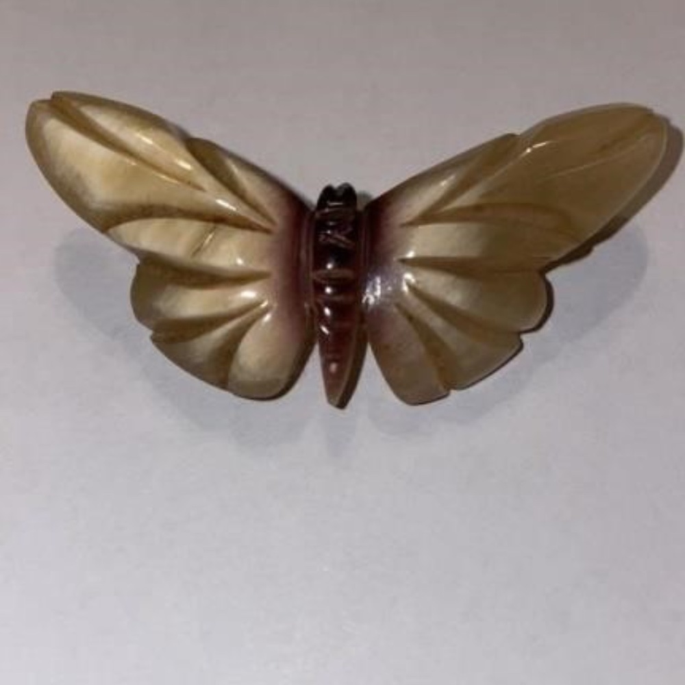 French Bone carved moth pin